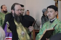 IMG_6764