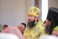 IMG_6950