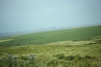 IMG_7918