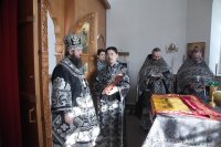 IMG_5546