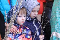 IMG_8861