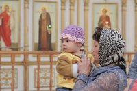 IMG_7491