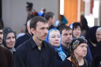 IMG_9331