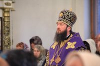IMG_9439