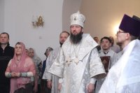 IMG_0442