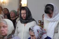 IMG_0580