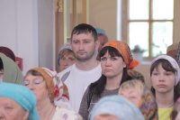 IMG_4553