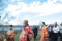 IMG_1341
