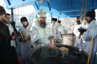 IMG_1384