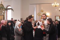 IMG_1613