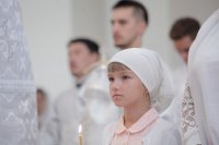 _MG_0808