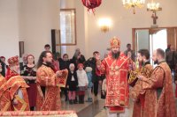 IMG_1904