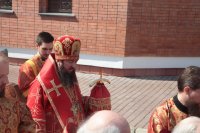 IMG_2129