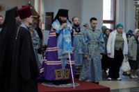 _MG_0573