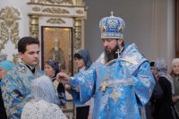 _MG_0674