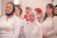 IMG_5022