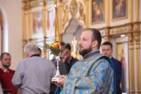 IMG_3650