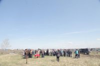 IMG_3121
