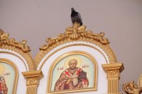 IMG_5161
