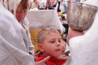 IMG_5246
