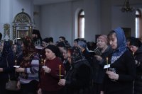 IMG_4295
