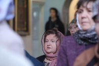 IMG_2145
