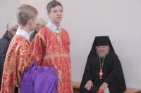 IMG_3223