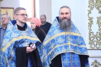 IMG_7662