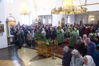 IMG_4200
