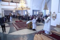 IMG_0578