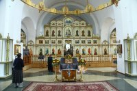 IMG_4524