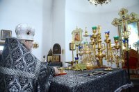IMG_4549