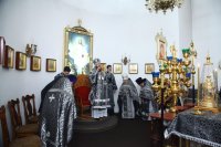 IMG_4589