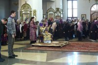 IMG_4771