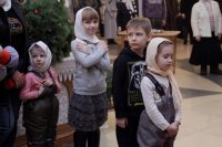 _MG_0470