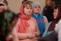 _MG_0497