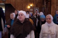 _MG_0972