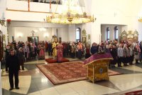 IMG_1637