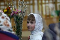 IMG_3815