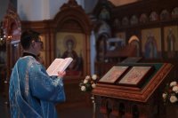 IMG_1538_1