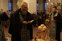 IMG_1578_1