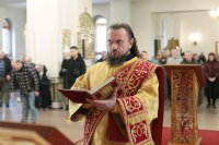 IMG_7402_1