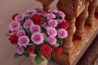 IMG_7758_1