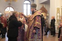 IMG_8052_1