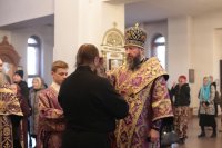 IMG_8054_1