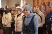IMG_4489_1
