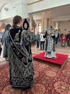 IMG_0861_1