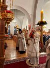 IMG_1156_1
