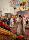 IMG_1164_1
