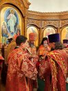 IMG_1312_1